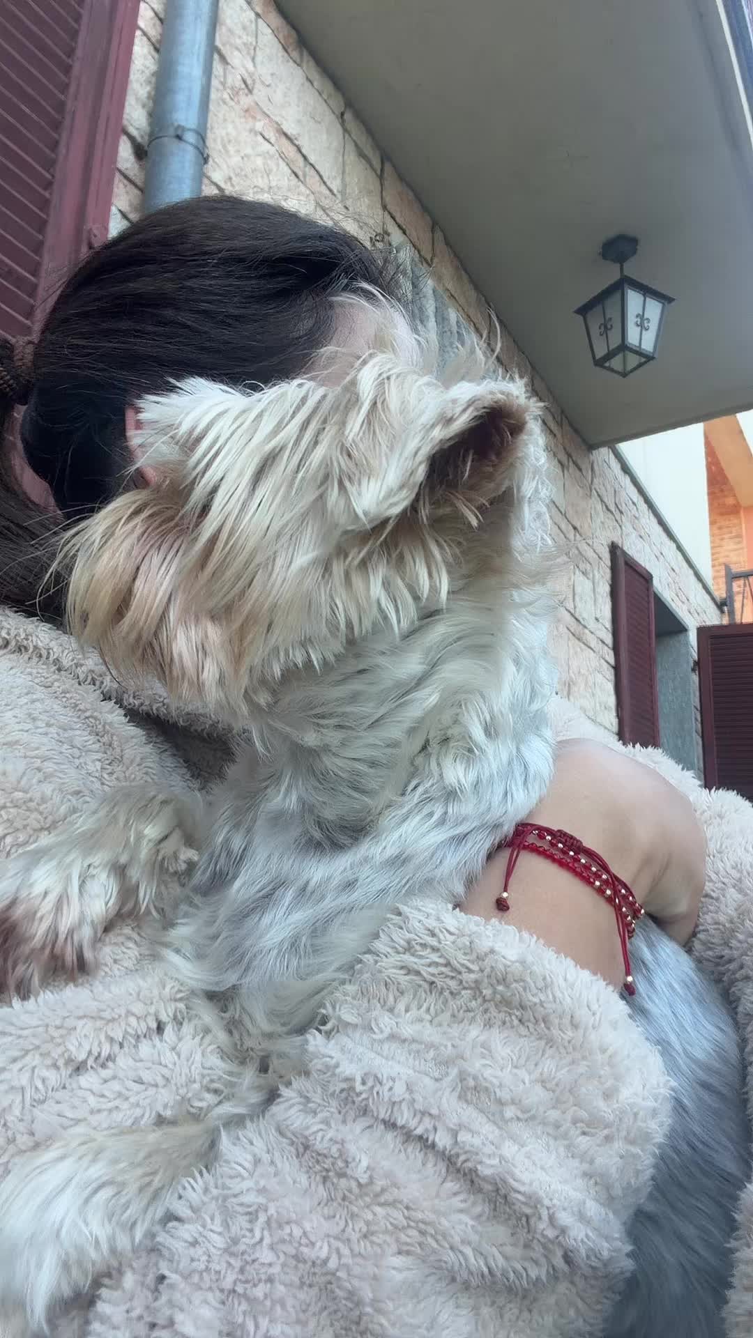@🐶Bella&Mila🐶