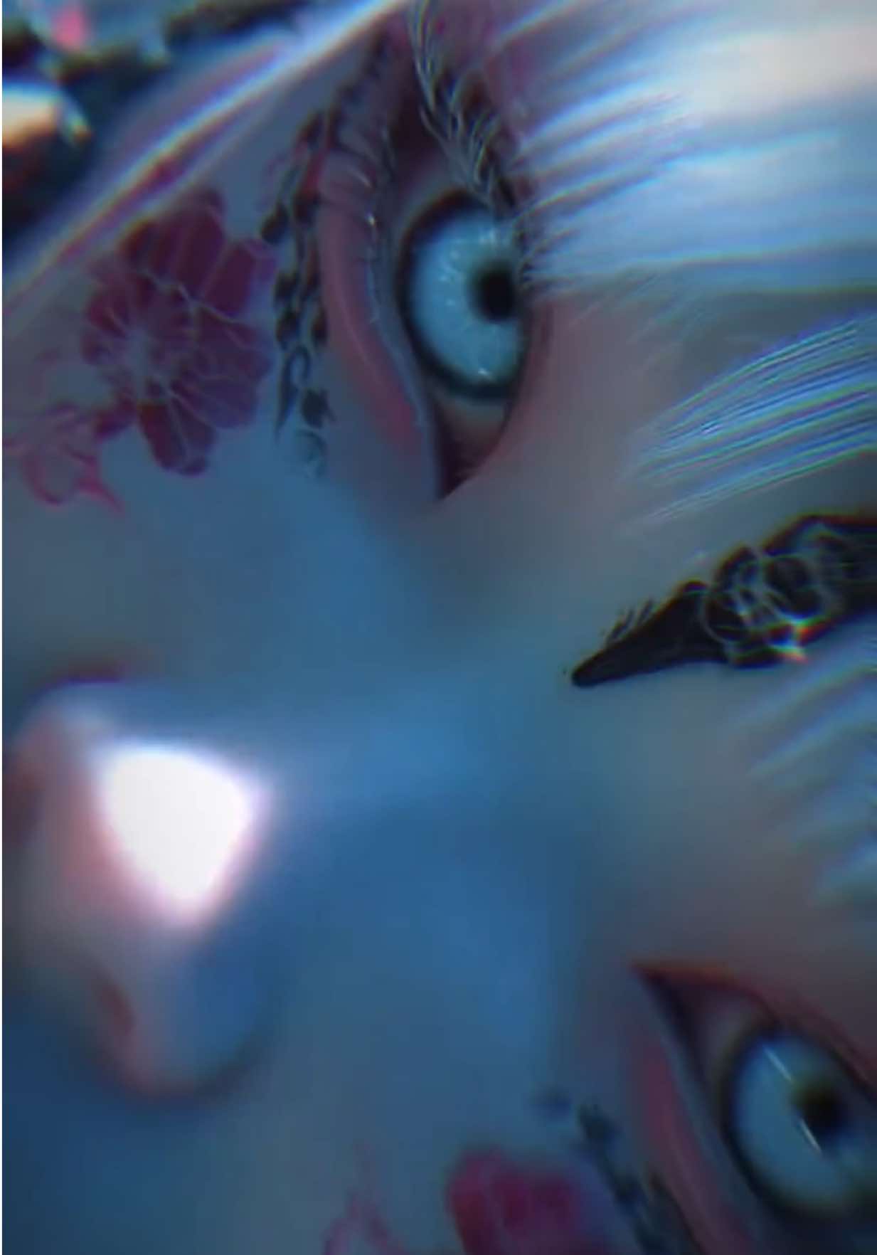 @𝖑𝖎𝖌𝖍𝖙