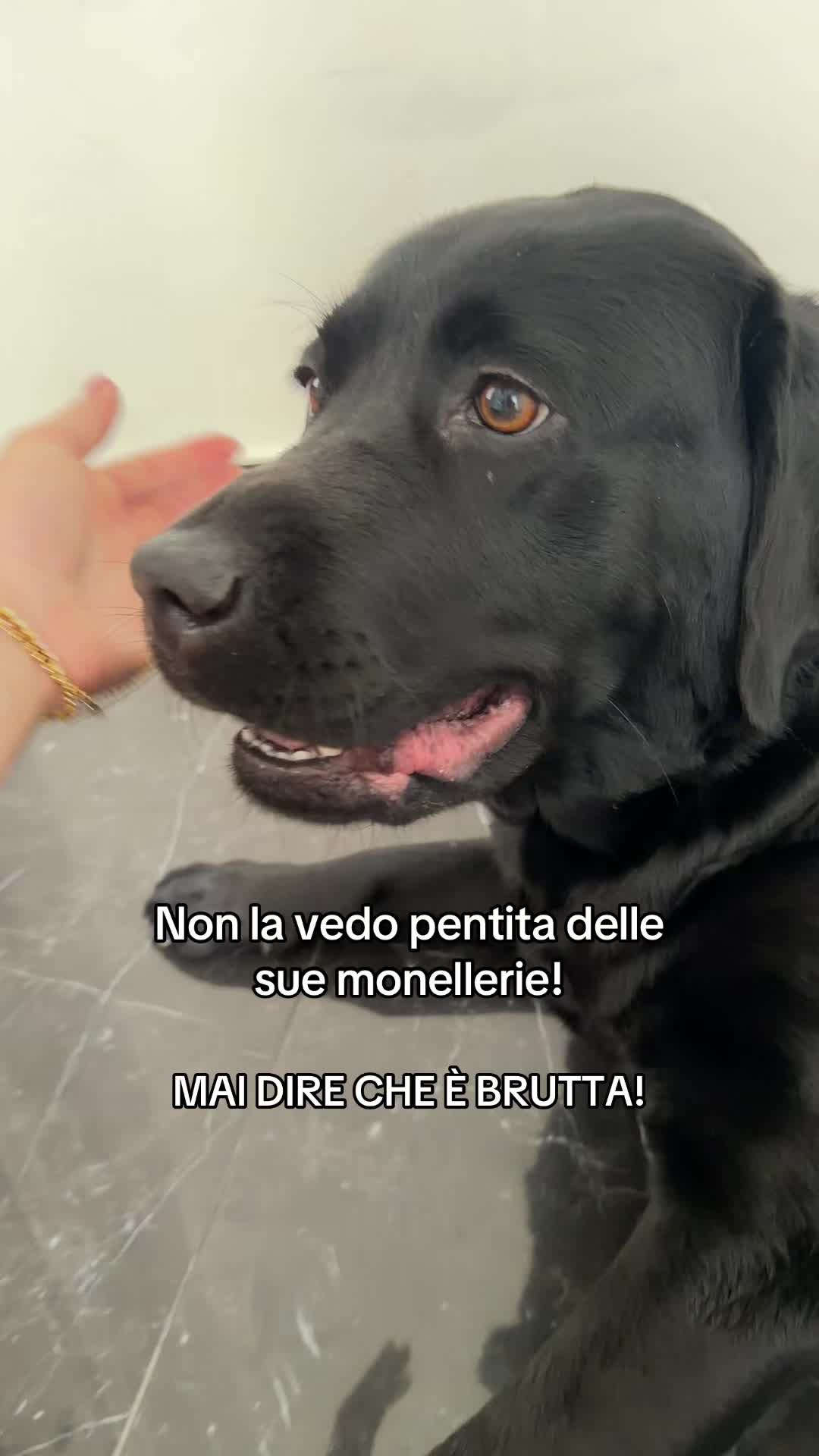 @Cloe e sabry🖤🐾