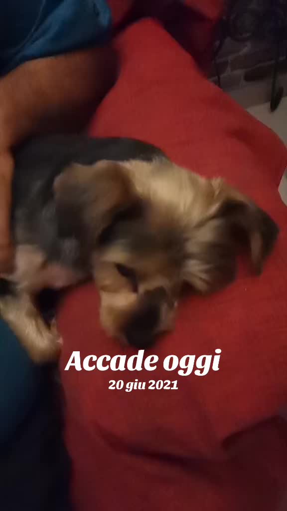 @𝒸𝓇𝒾𝓈𝓉𝒾𝓃𝒶  𝒻𝒶𝒷𝒾ℴ ❤