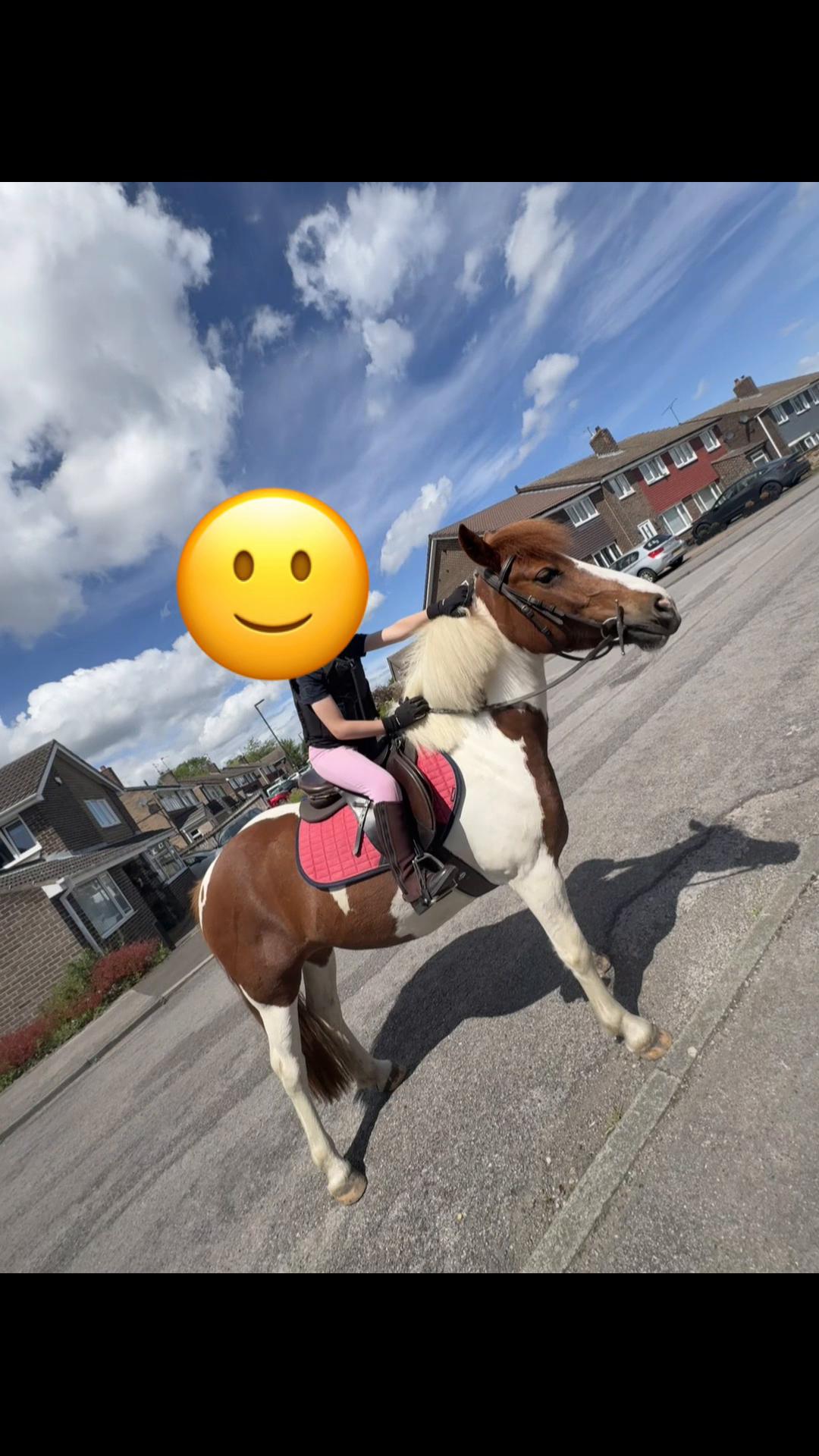 @LottiesHorseAdventures🦄🐴