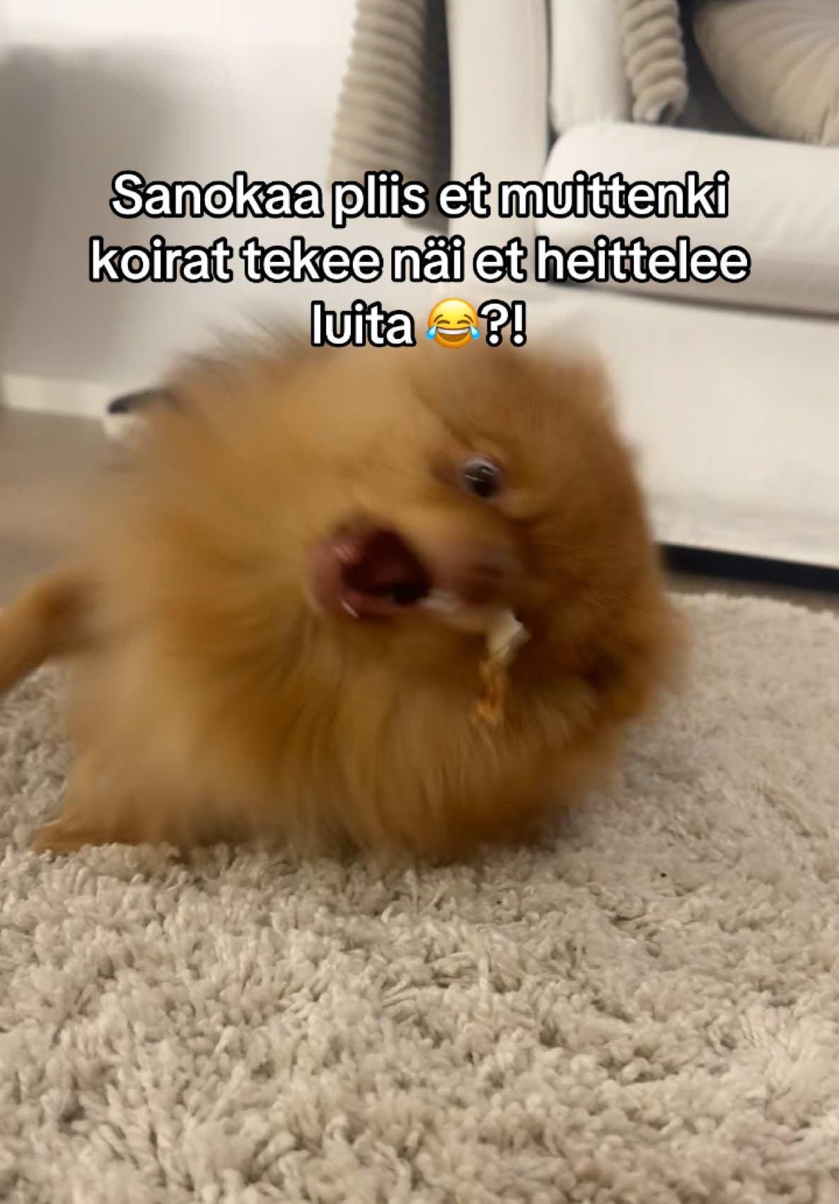 @Vimpulano