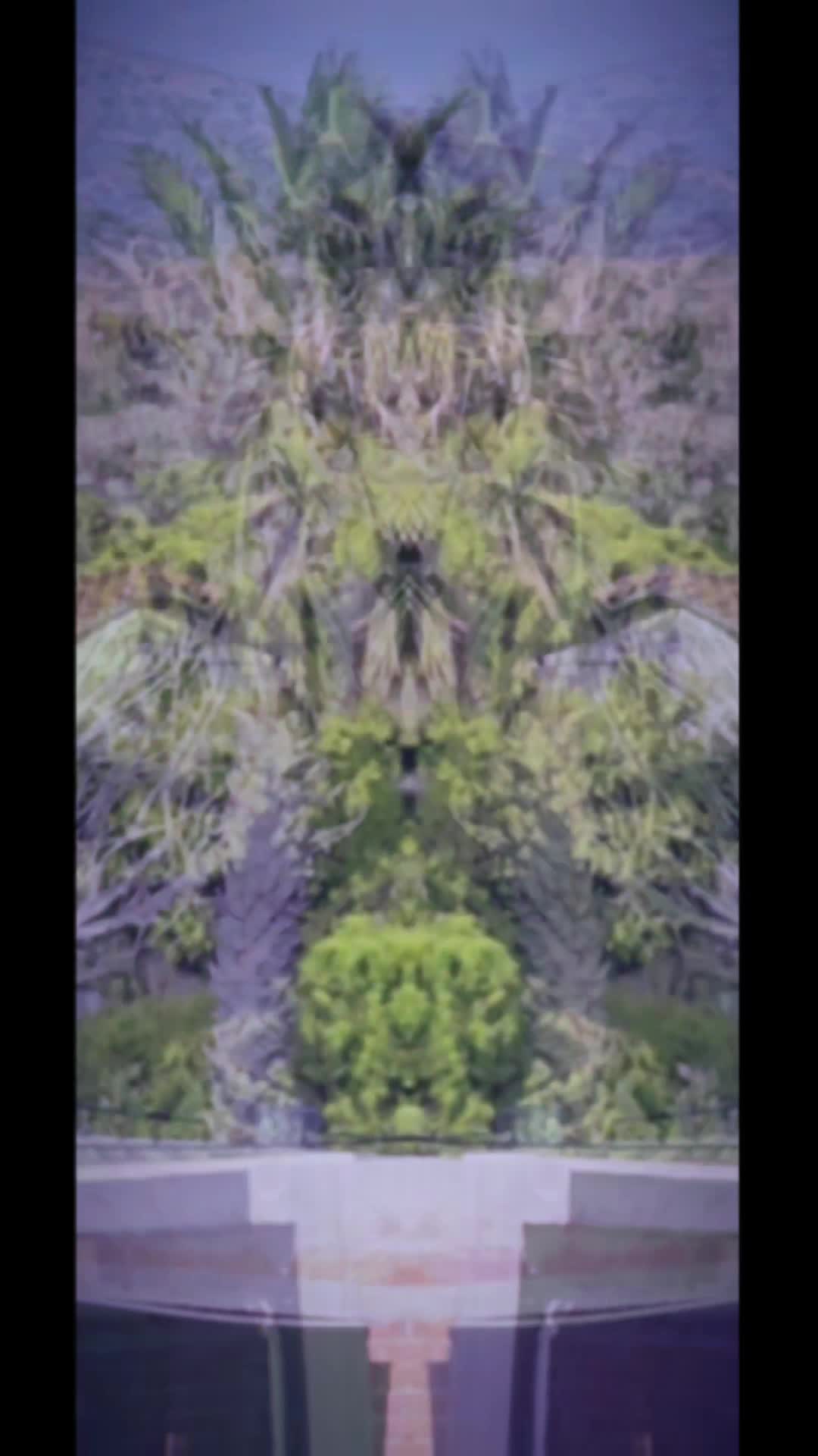 @Gus46
