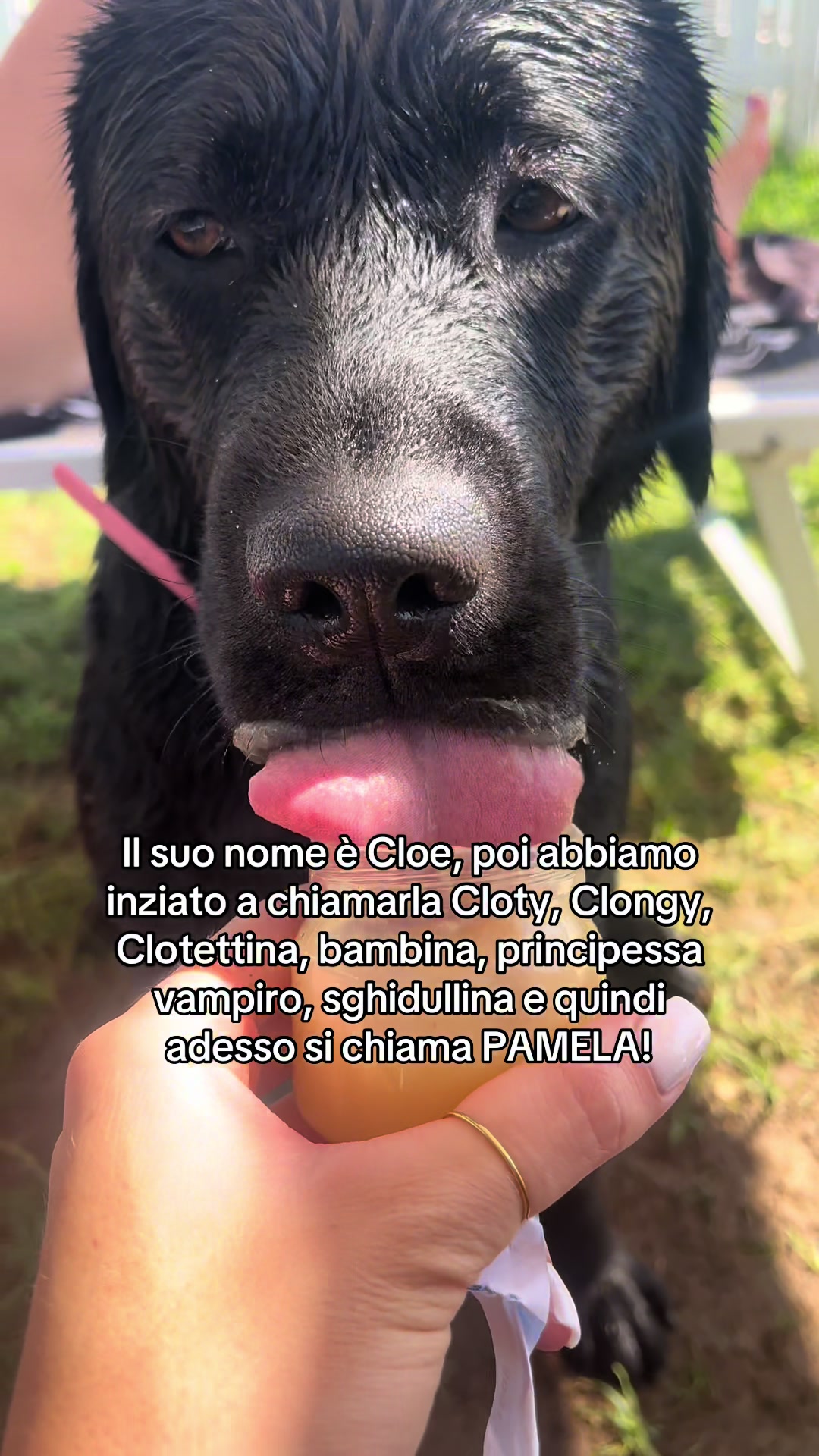@Cloe e sabry🖤🐾