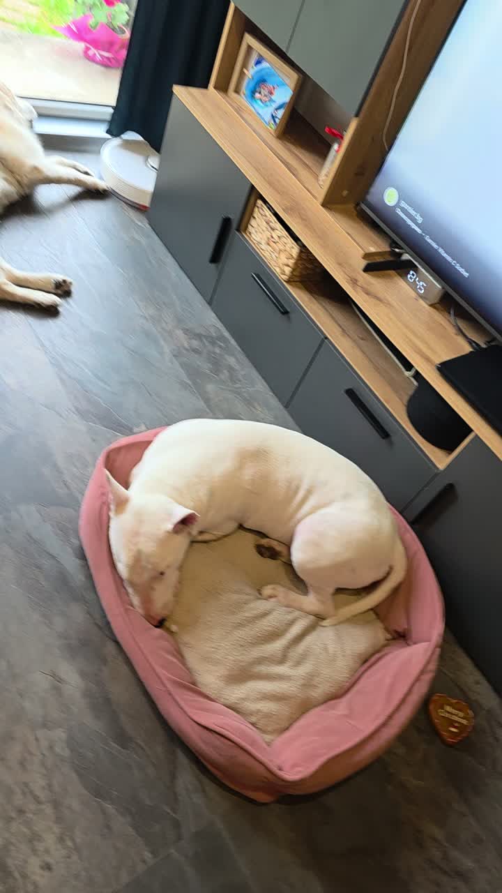 @Данте