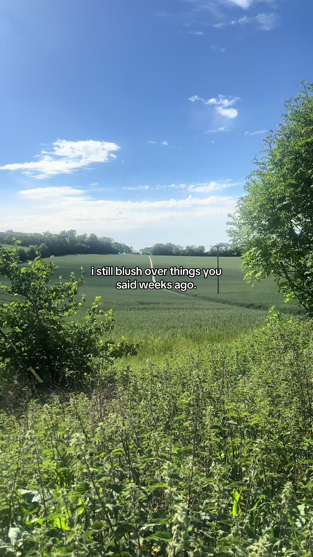 @MoOD.Words