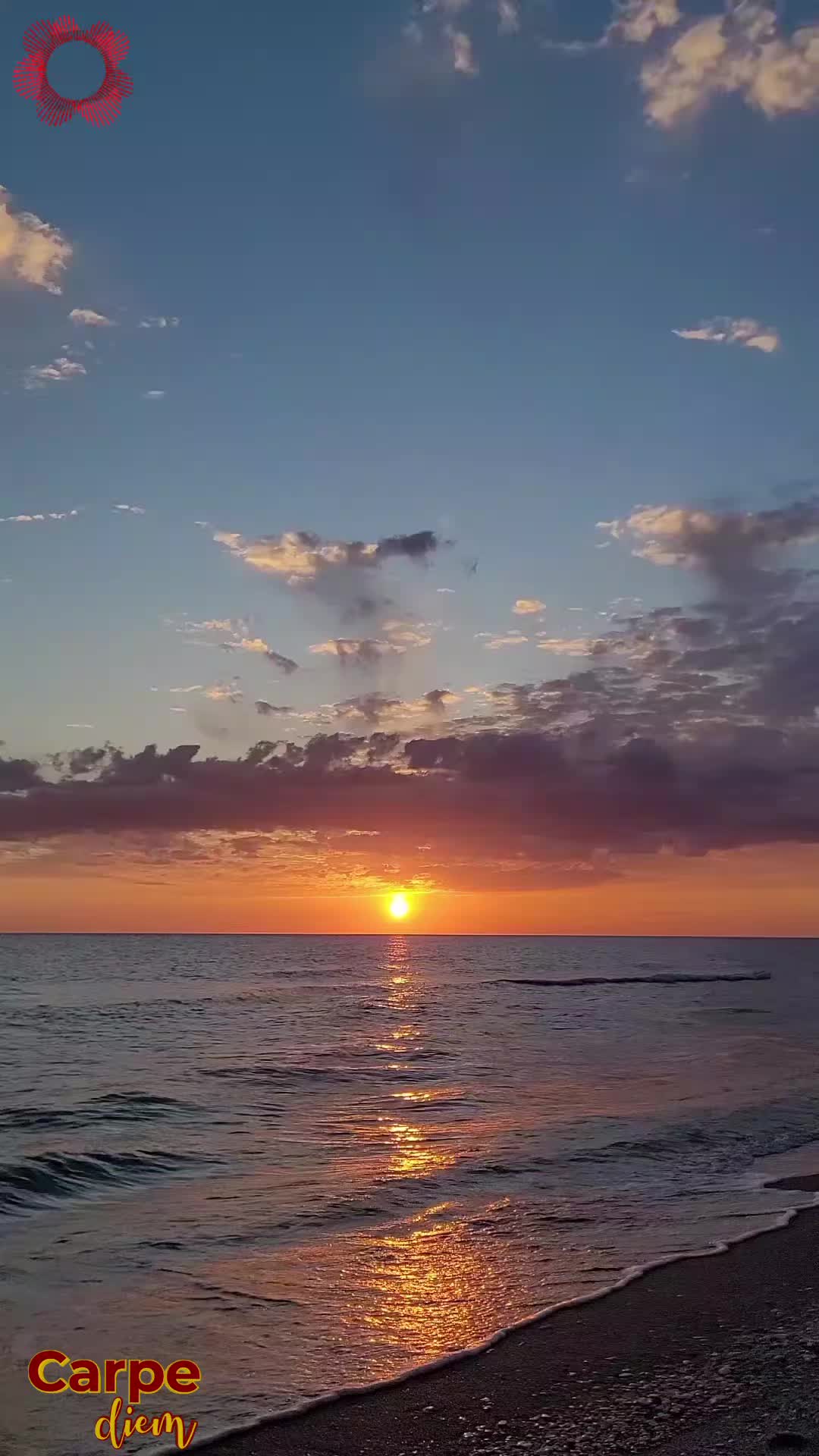 @Carpediem_75