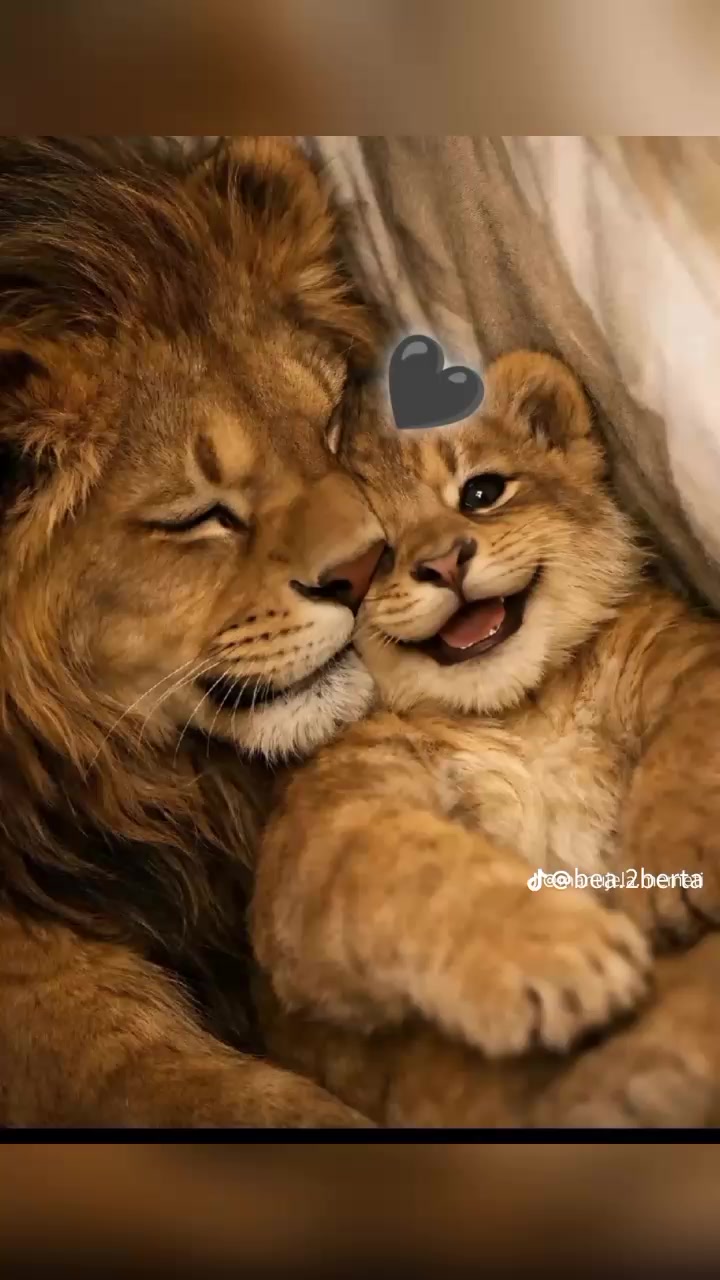 @princeza tatina💋❤️
