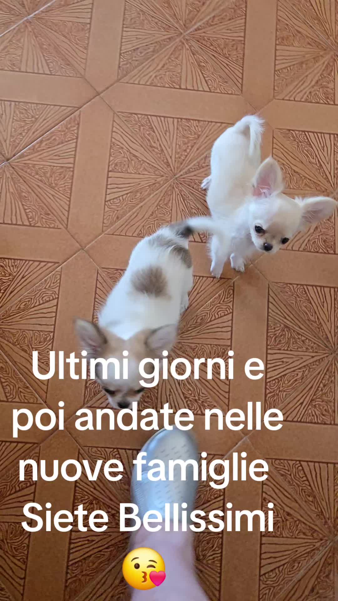 @Elena Paganelli