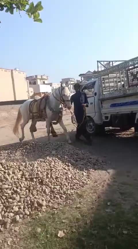 @majid Ƙàțàřîŷå