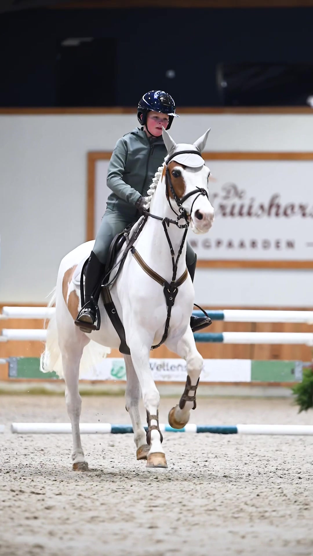 @Maximilian Equestrian