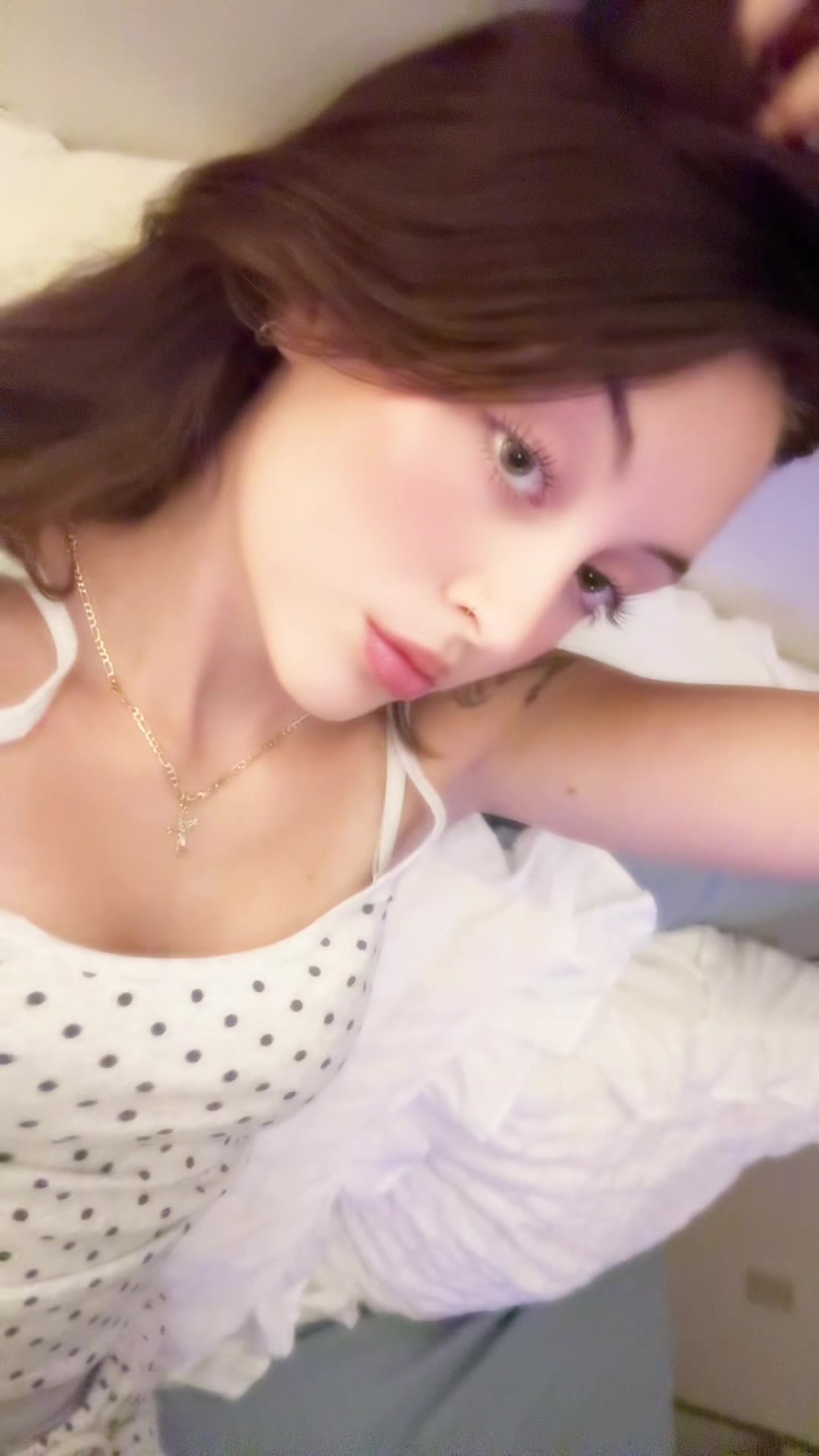 @₍^. .^₎⟆