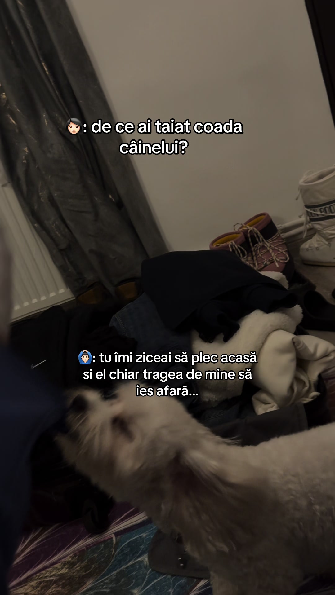 @Lucian 69 Ionuț