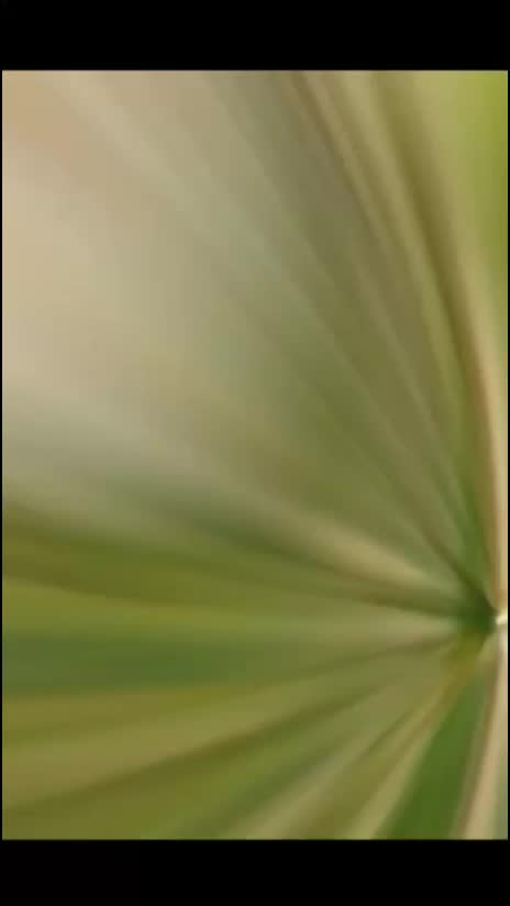 @Mai Hu Panjab