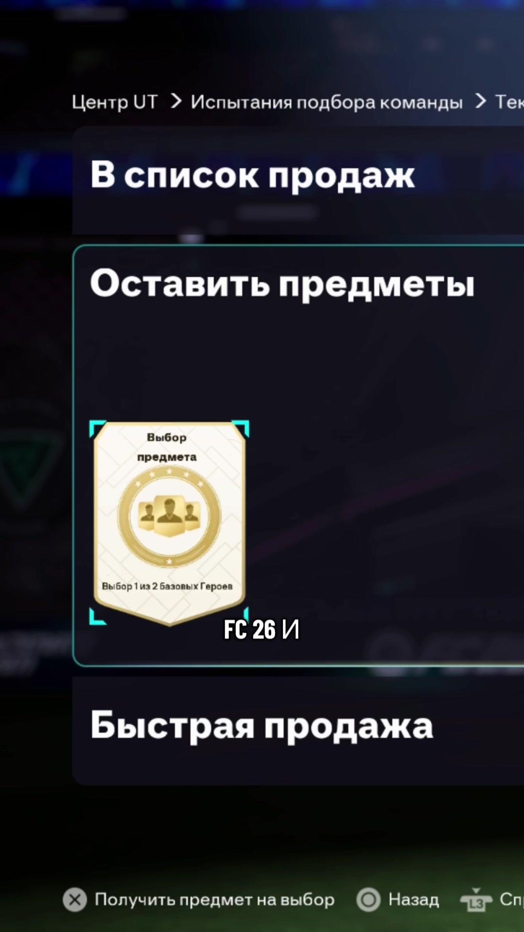 @laimorg