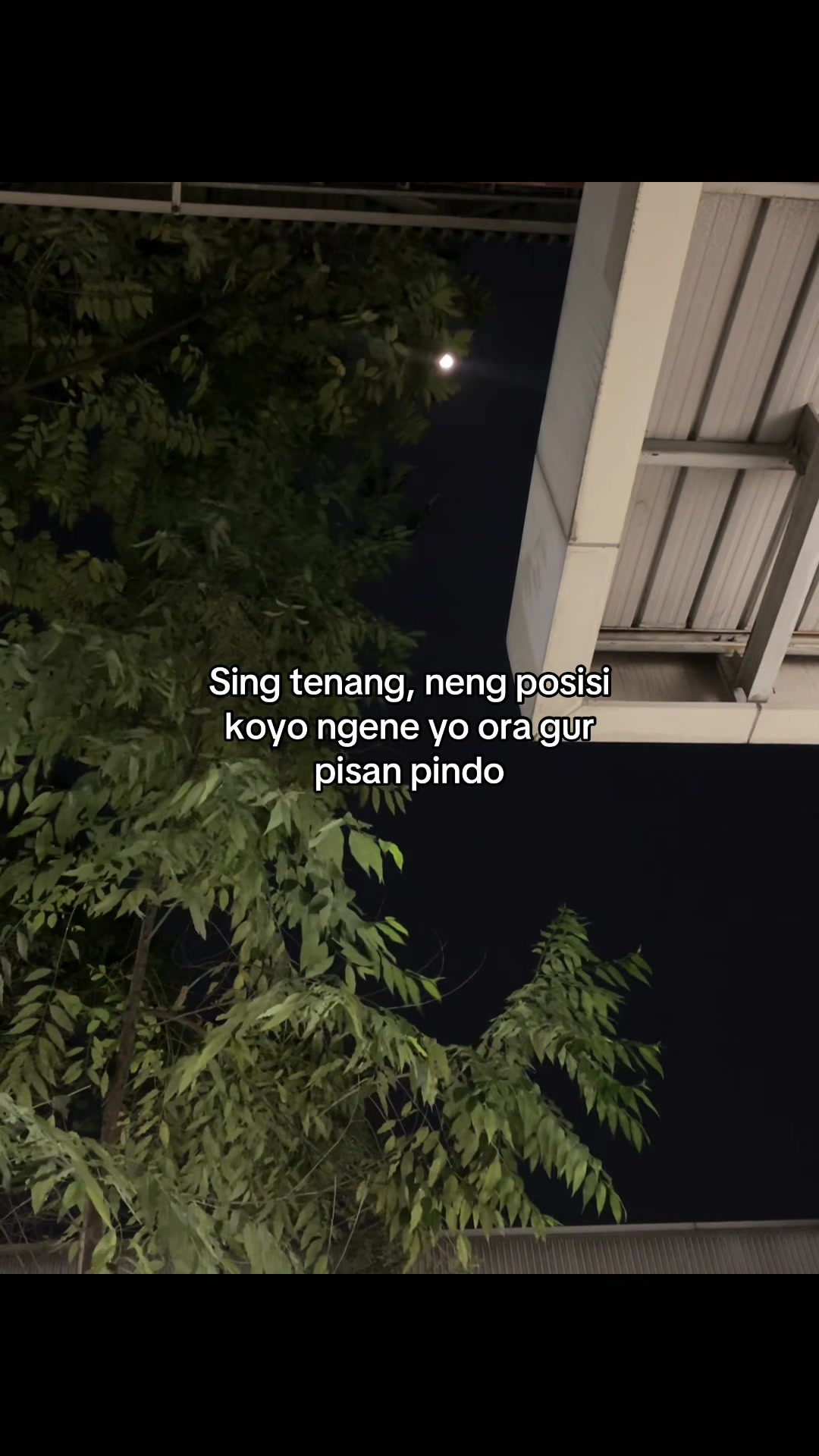 @Nino 