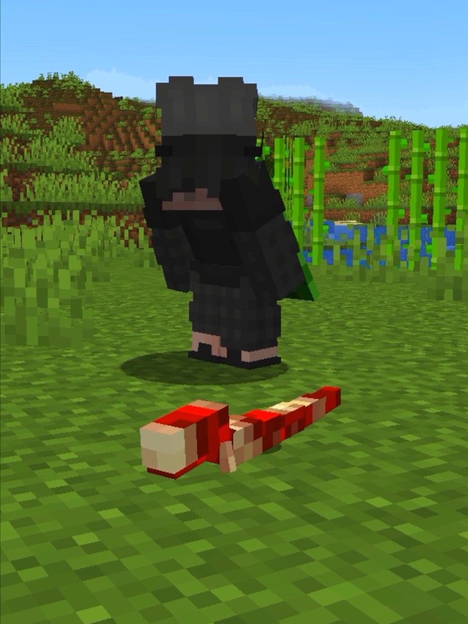 @DylanMC
