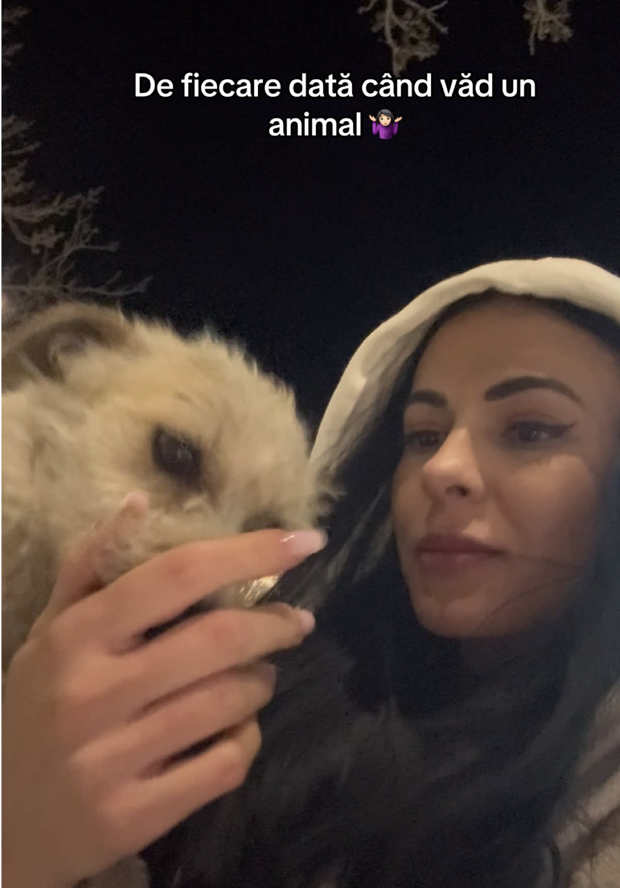 @LoredanaX