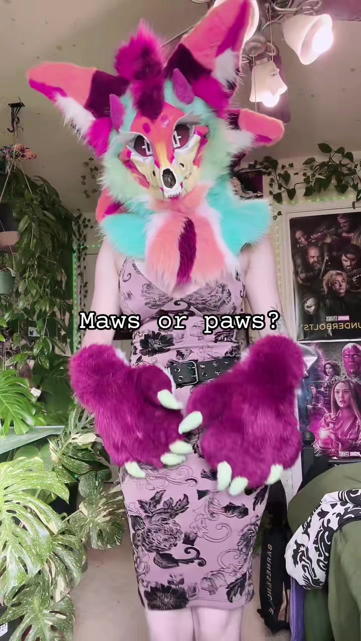 @aethertheskulldog🔜LSFC