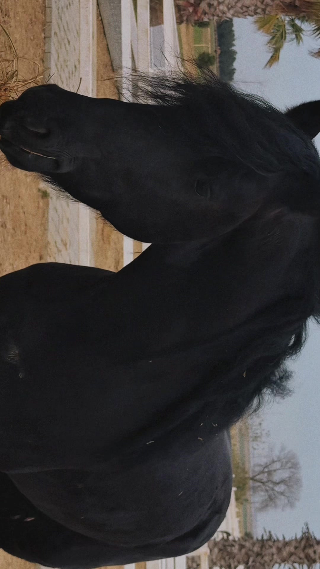 @Omar Atçılıq Klubu