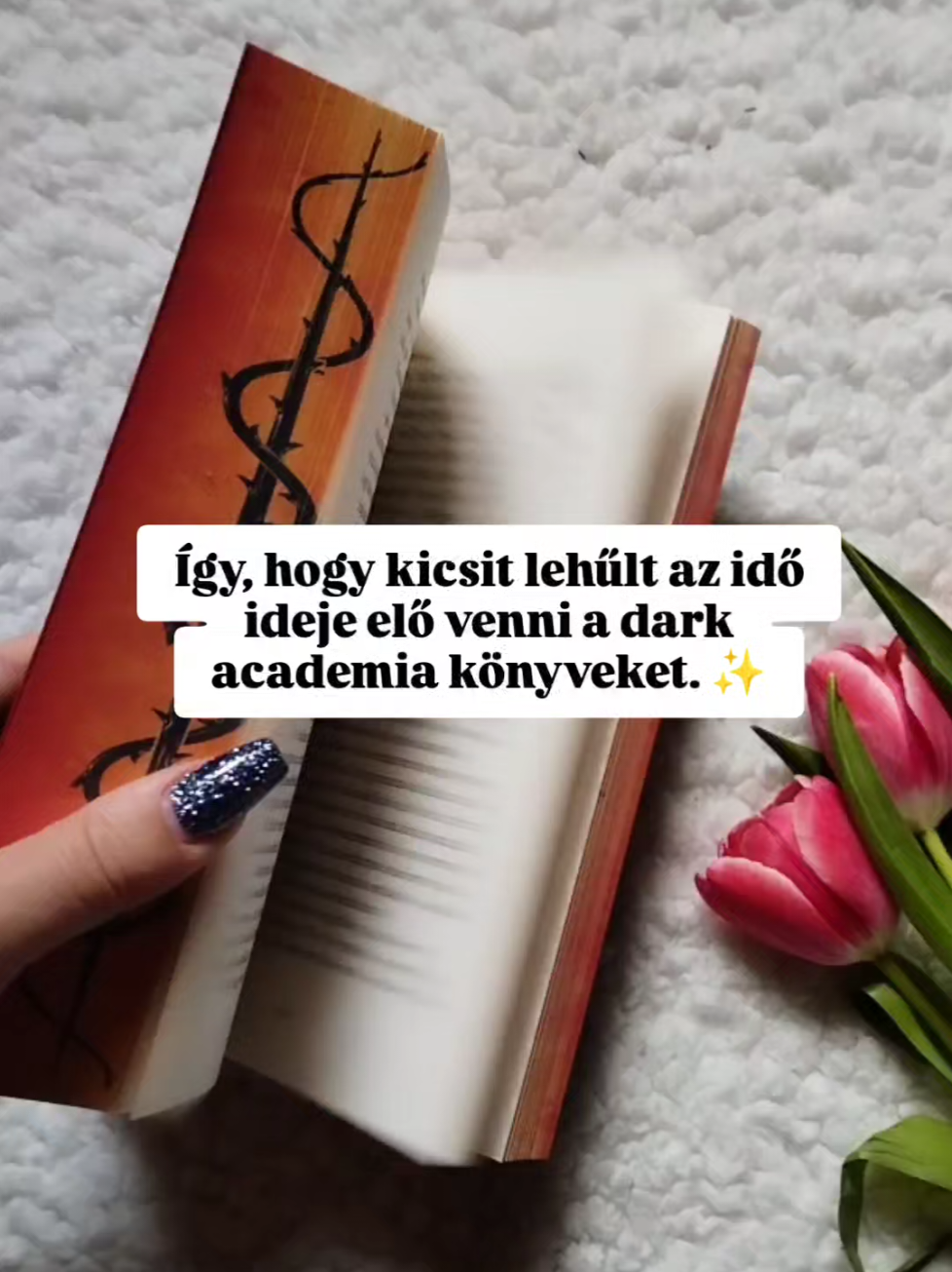 @Evi's bookish corner