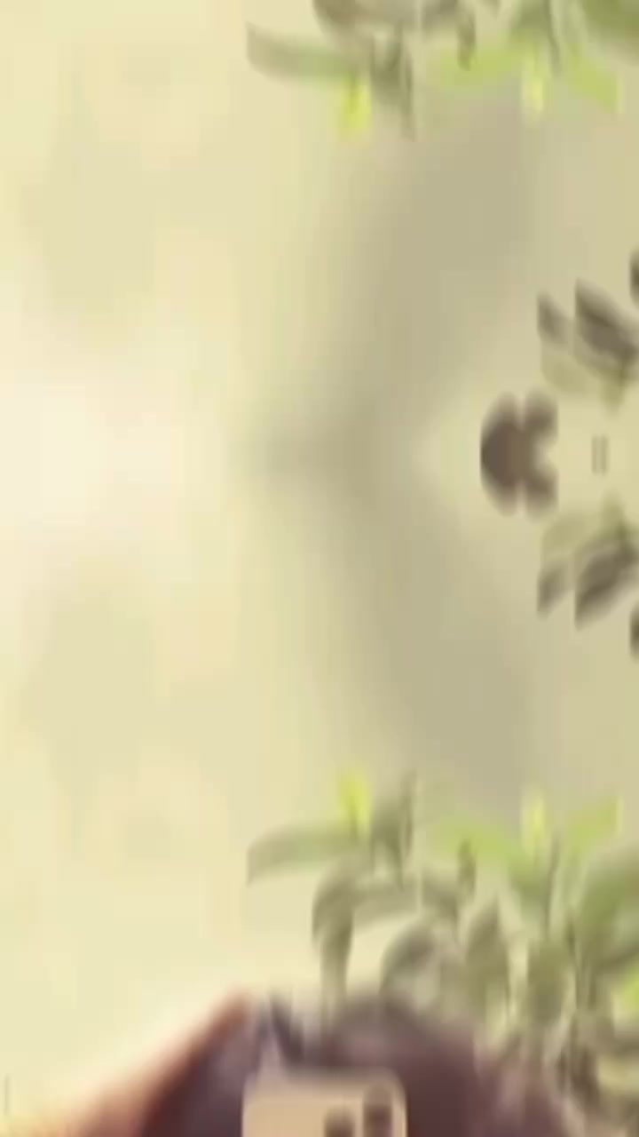 @🇳 🇦 🇿 🇦 🇼 🇦 🇱 🇪