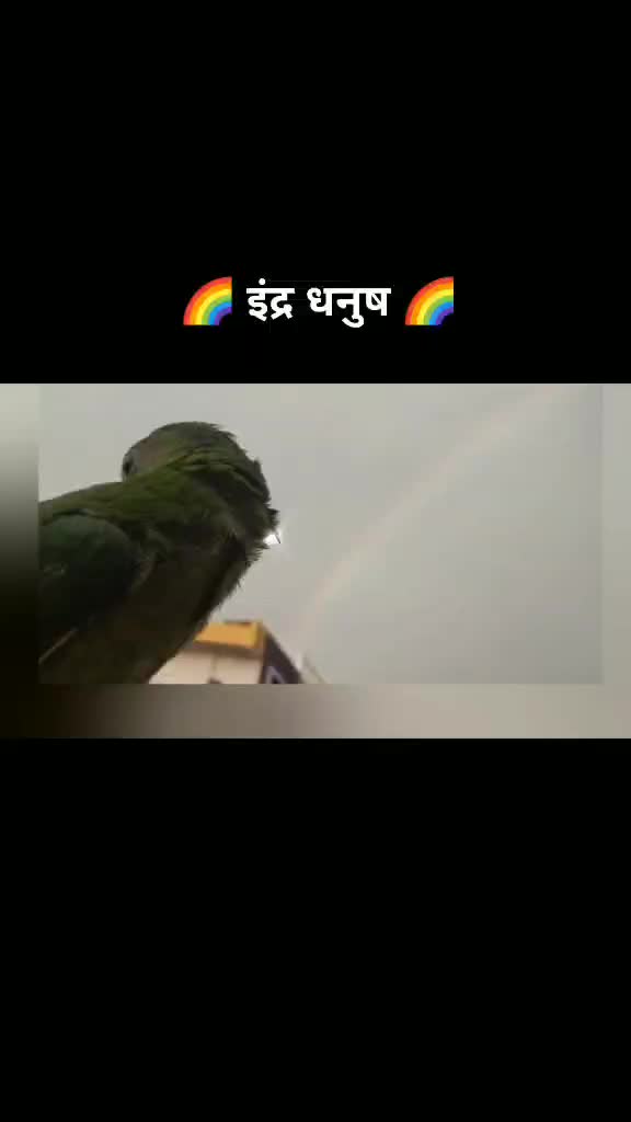 @Rakshadita