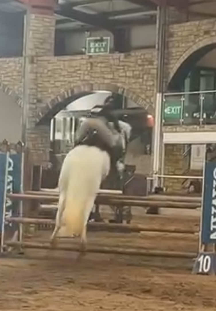 @Aoife haines eventing
