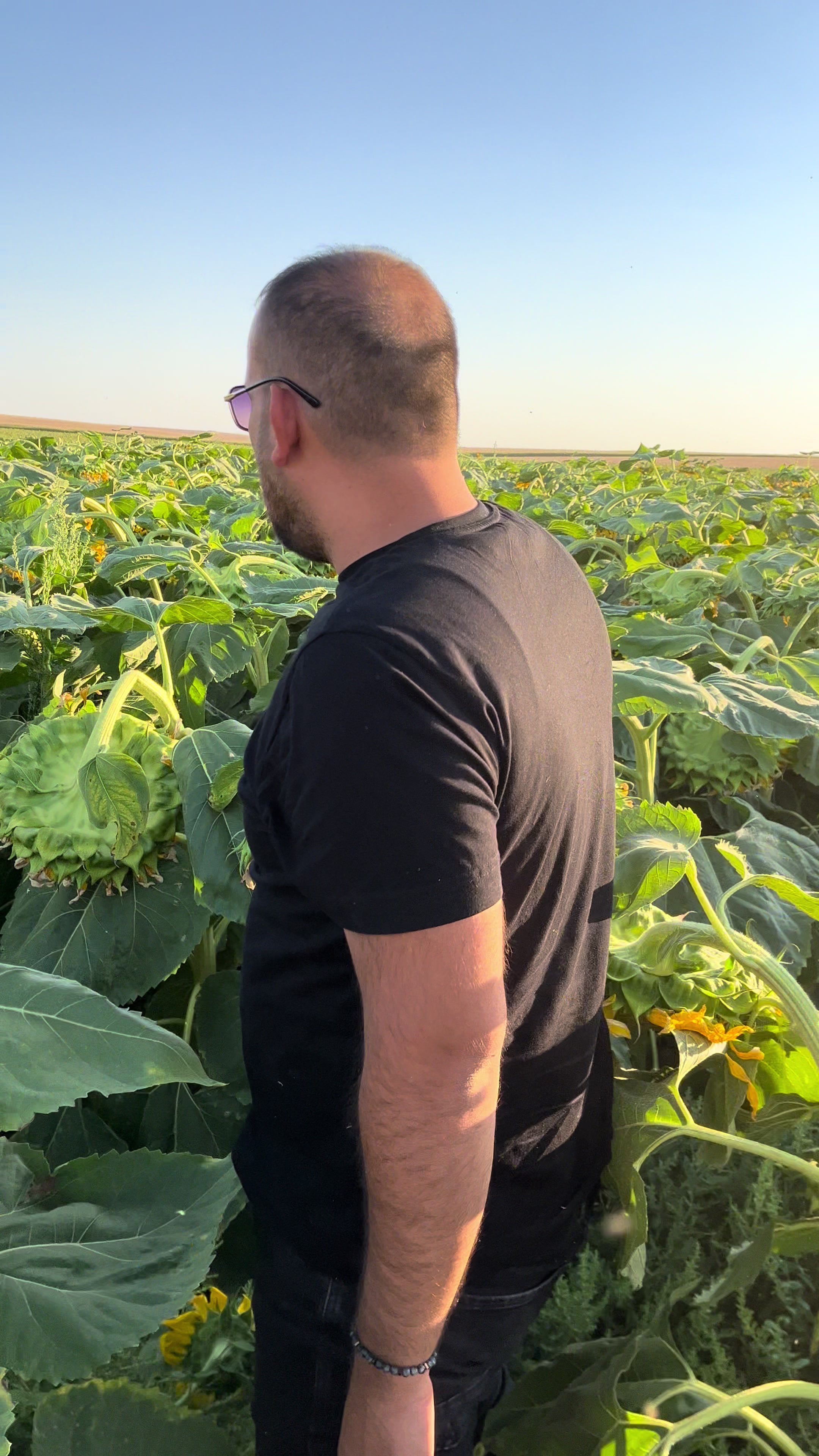 @AGROŞİMŞEK TARIM &Uuml;R&Uuml;NLERİ