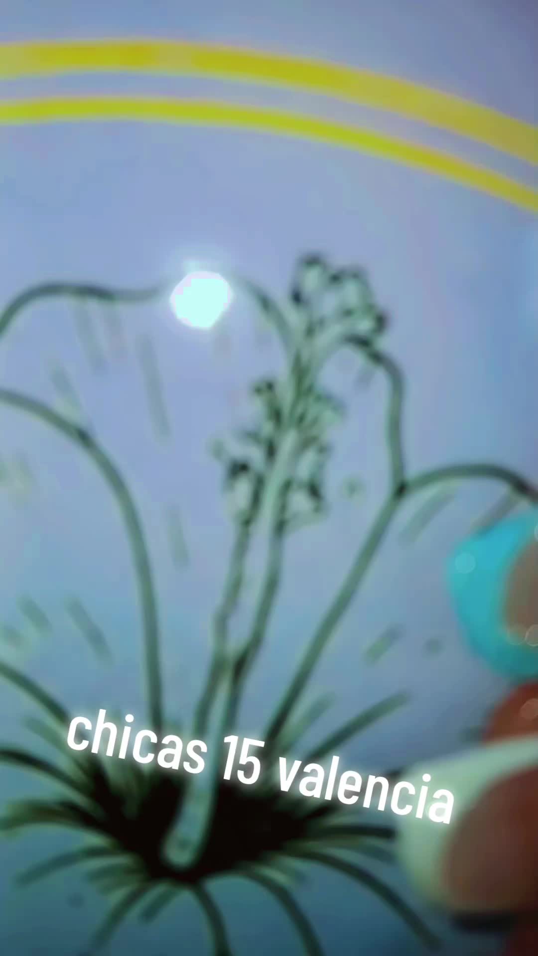 @whitenails16