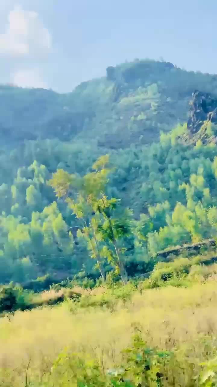 @Sᴀᴅᴀʀ Sᴀɪʙ Bʀᴀɴᴅ 🍁