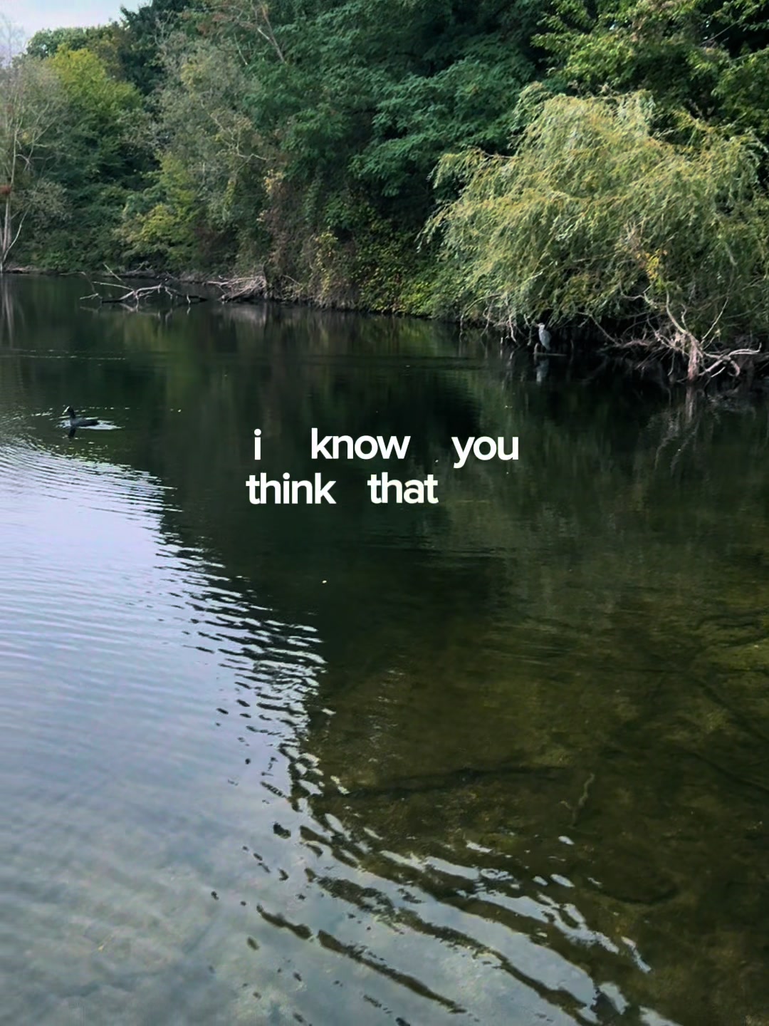 @itscarowine