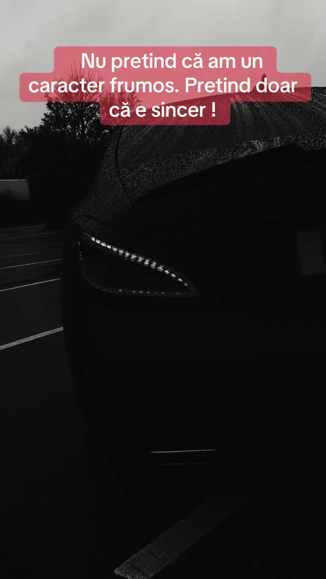 @🌶️SpicyBenz🌶️