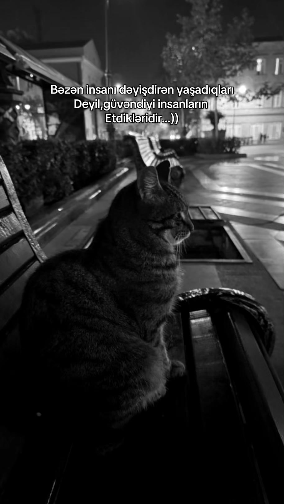 @𝓐𝓻𝔃𝓾ᥫ᭡