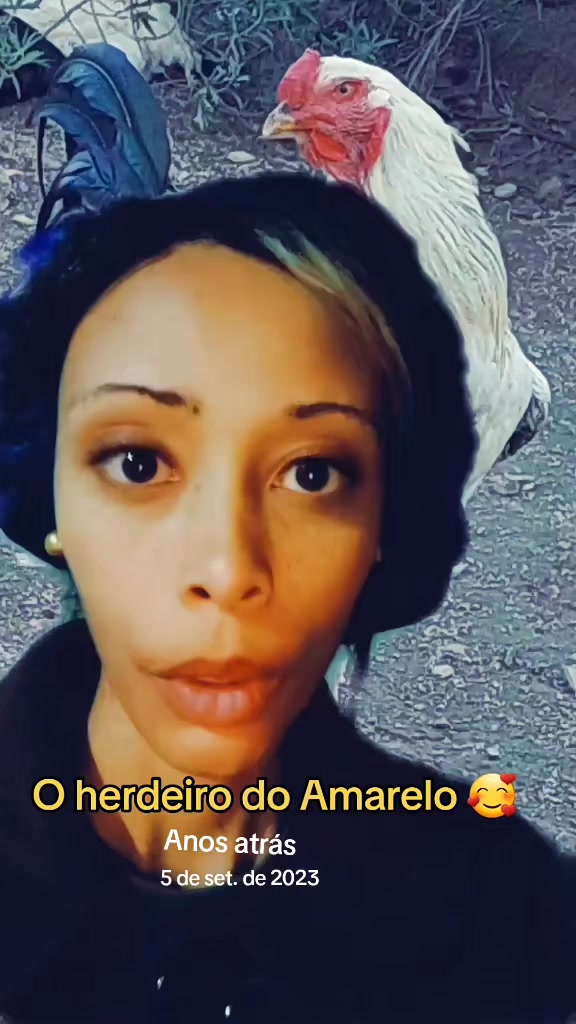 @🎗SIDI BORGES