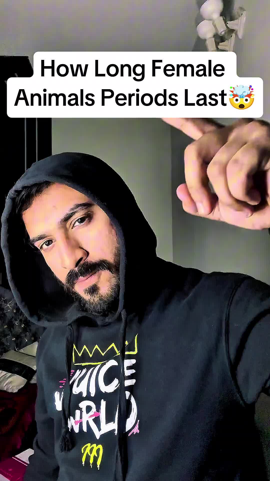 @mysteriousdiscoveries_
