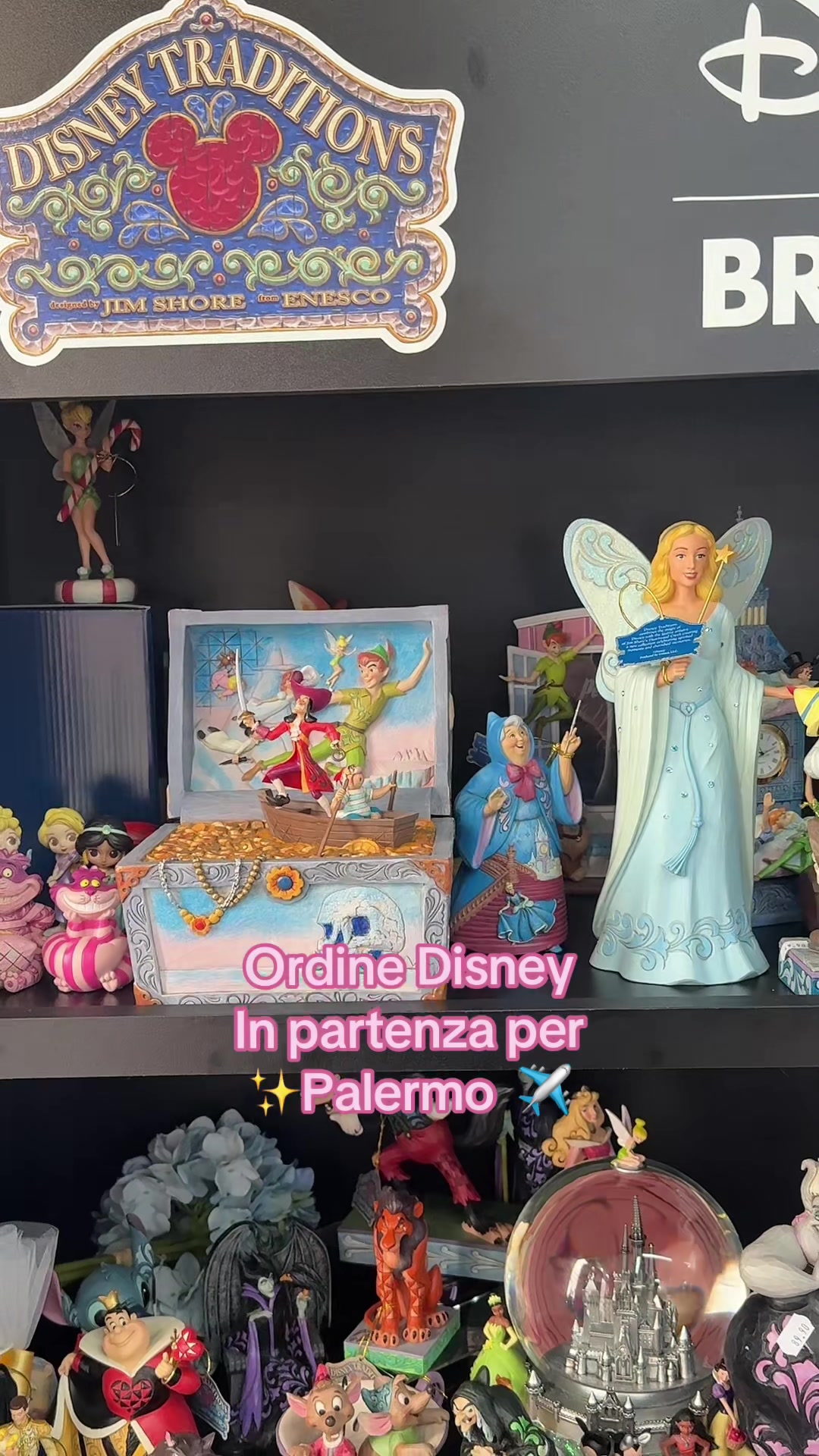 @✨Silvia Palmieri | Disney 🎡