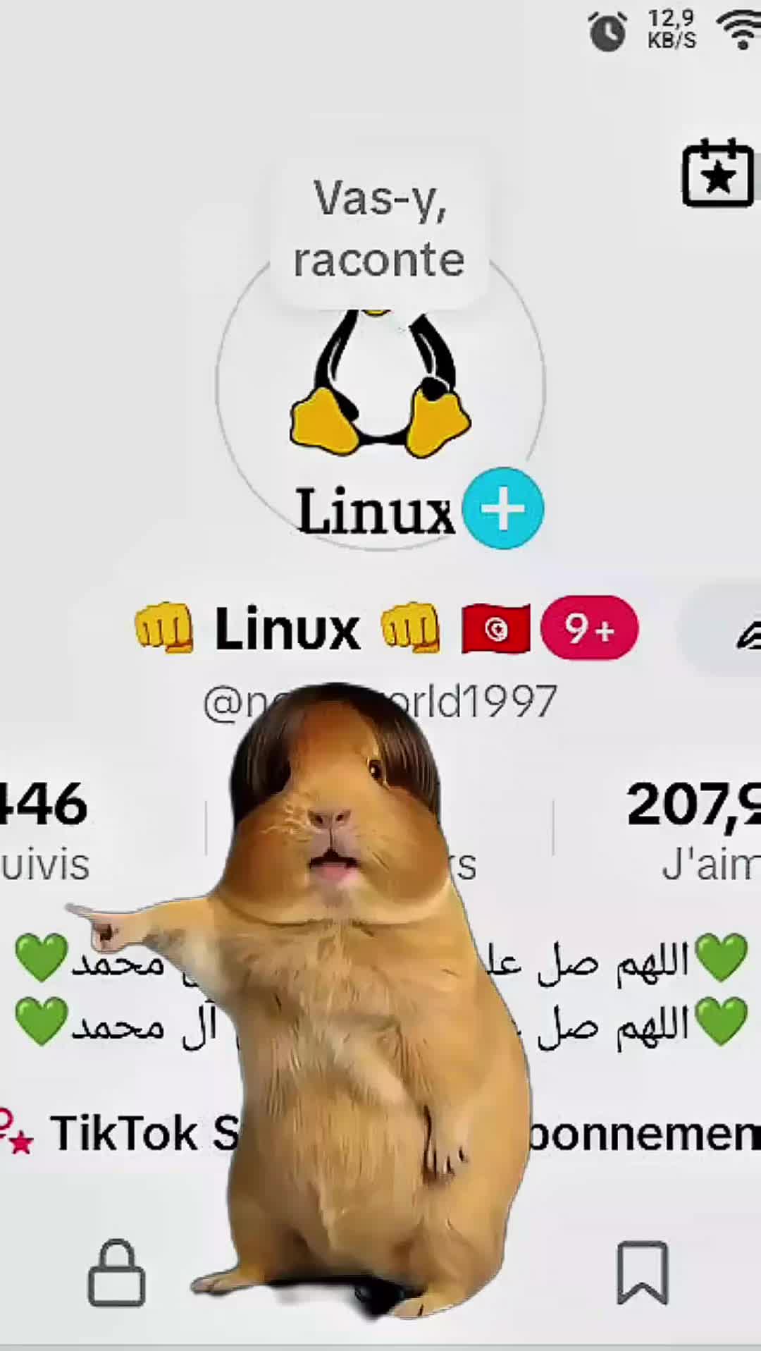 @๐ Linux ๐ ๐น๐ณ