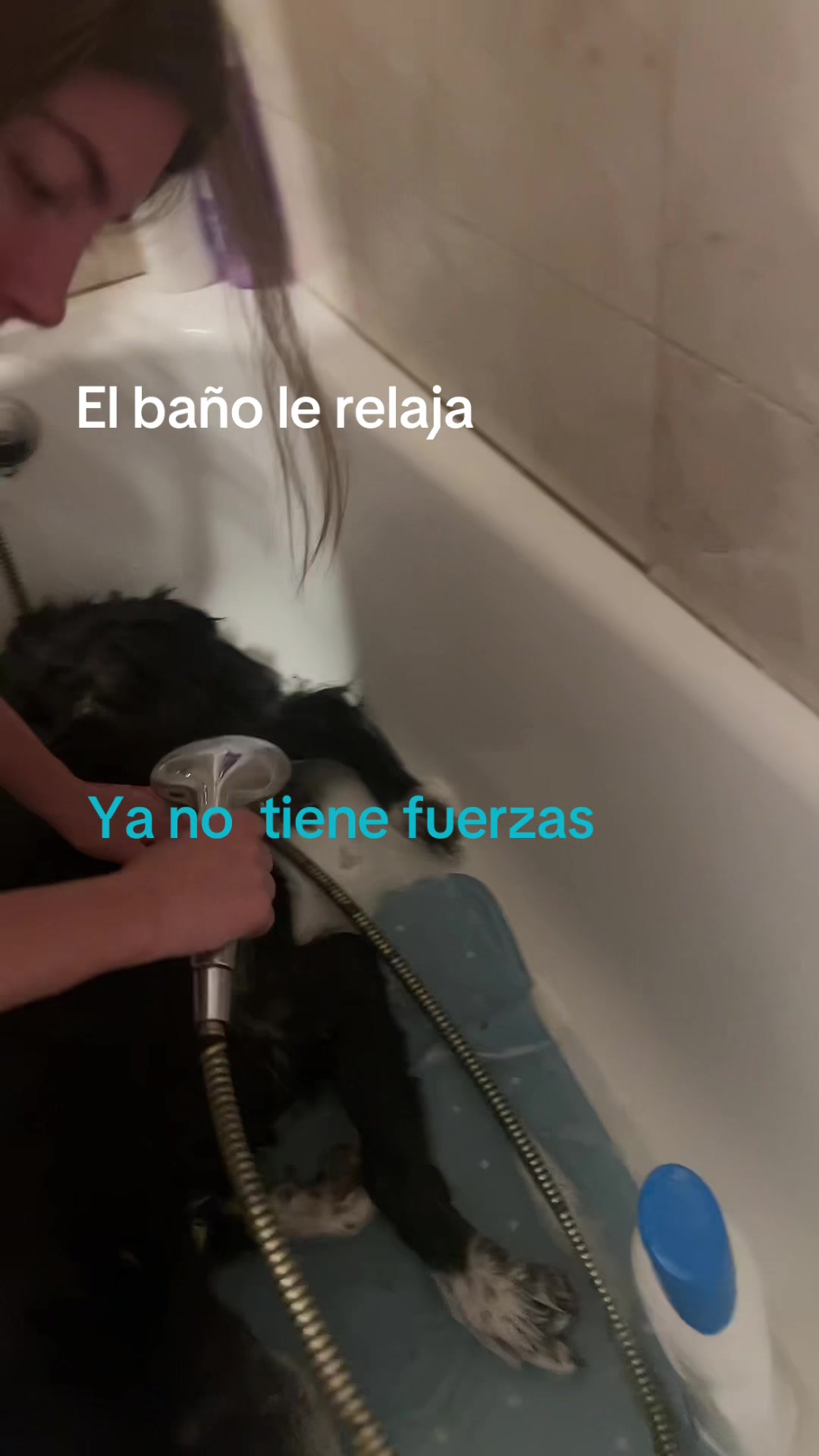 @Rocio del pilar