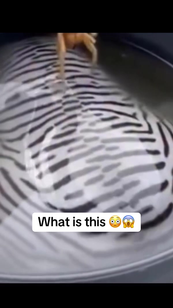 @OxarfisH ™