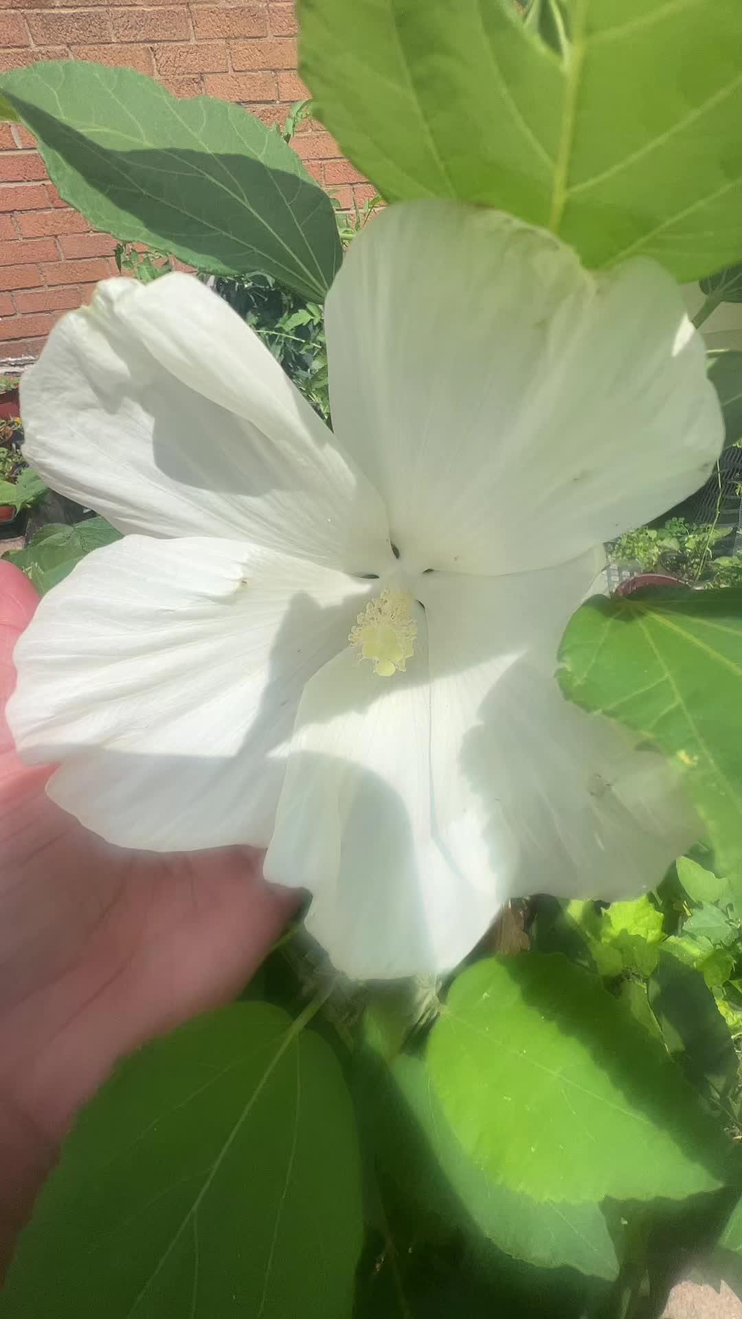 @Kristina🕉️🕉️