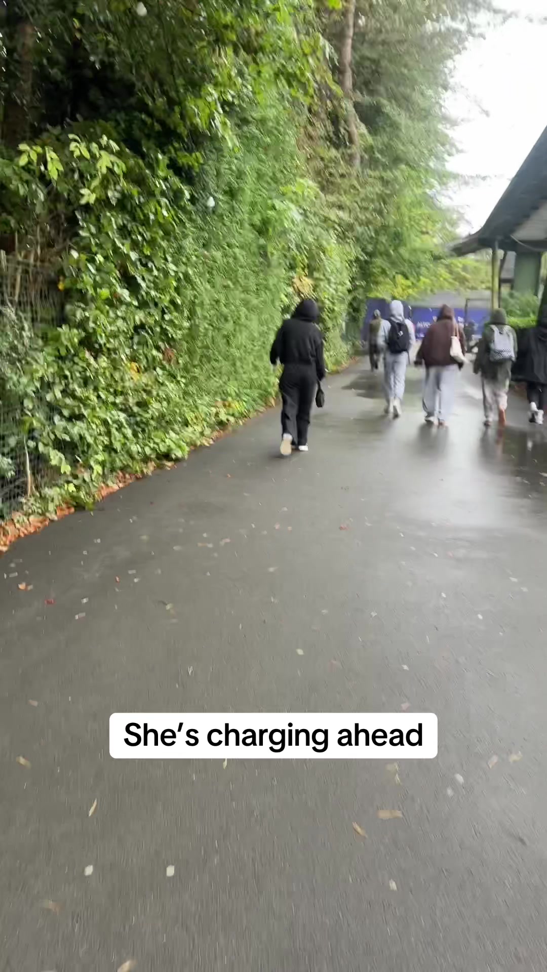 @pauldtattoo