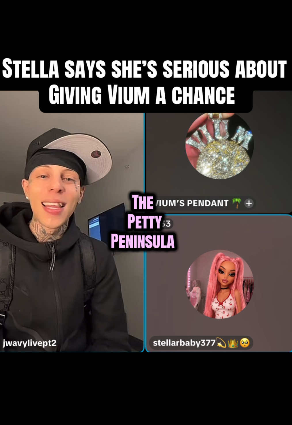 @thepettypeninsula6