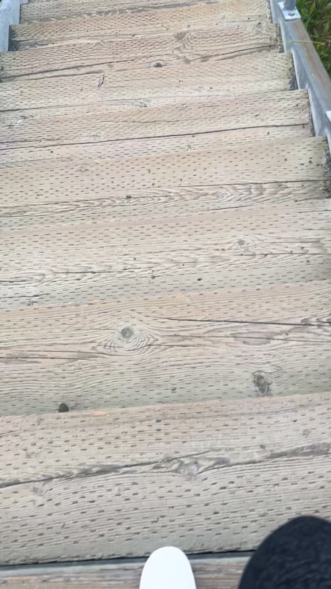 @Gypsy_pickles&leo