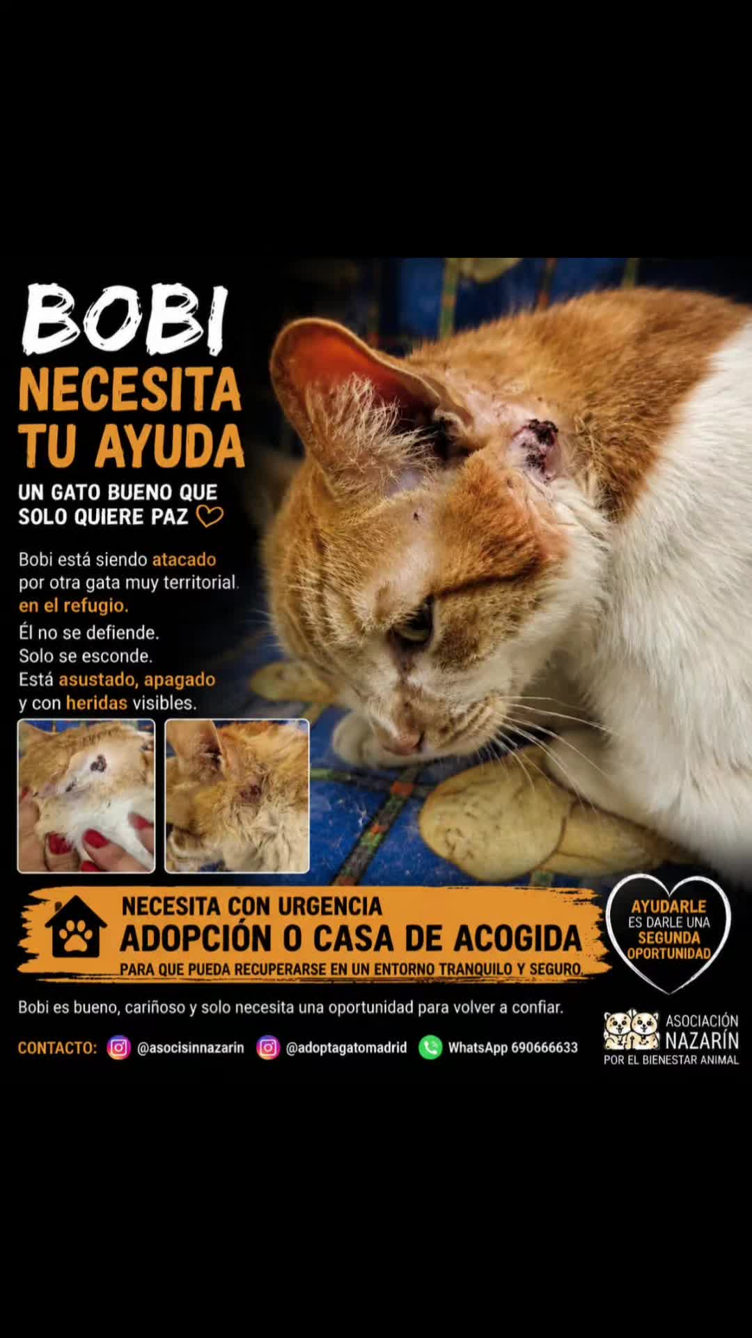 @Ronporsiempre