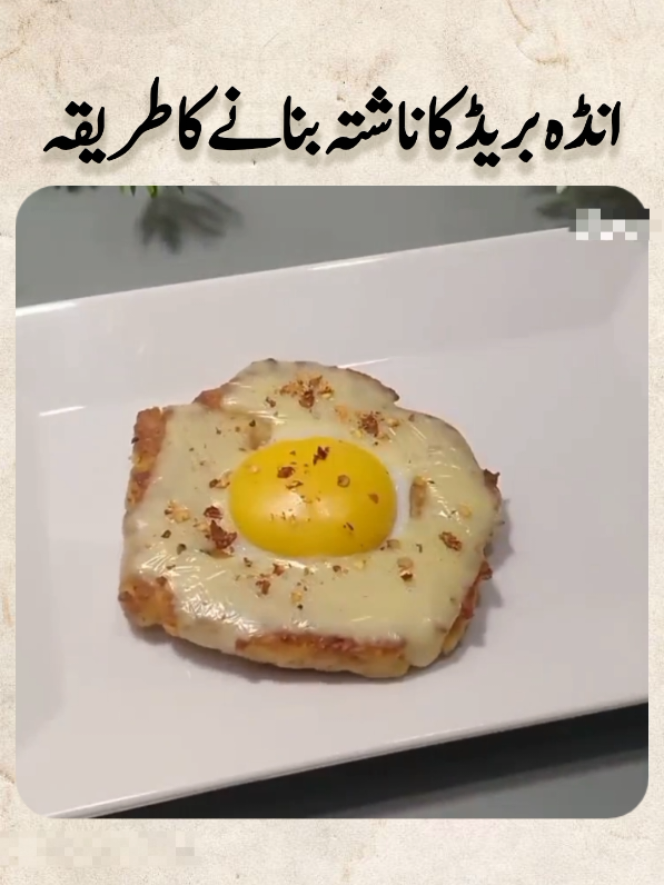@ifzaalcook0
