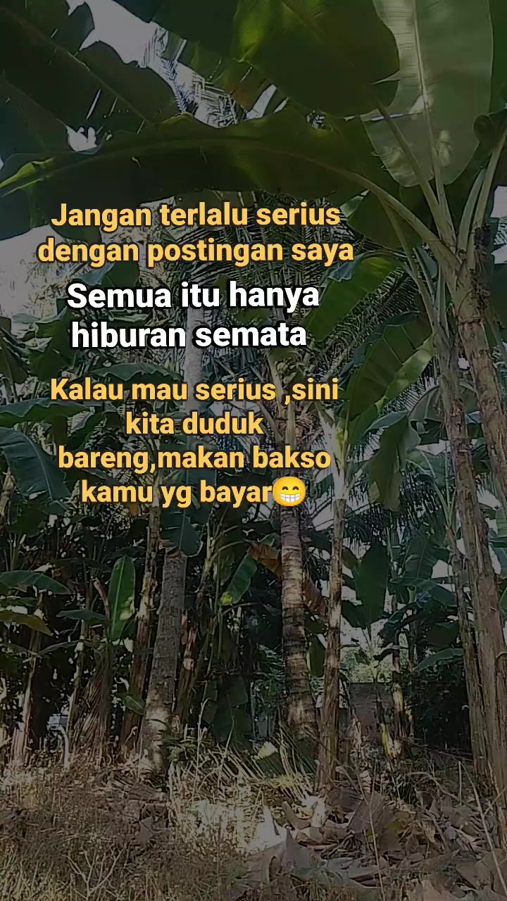 @Ipunk