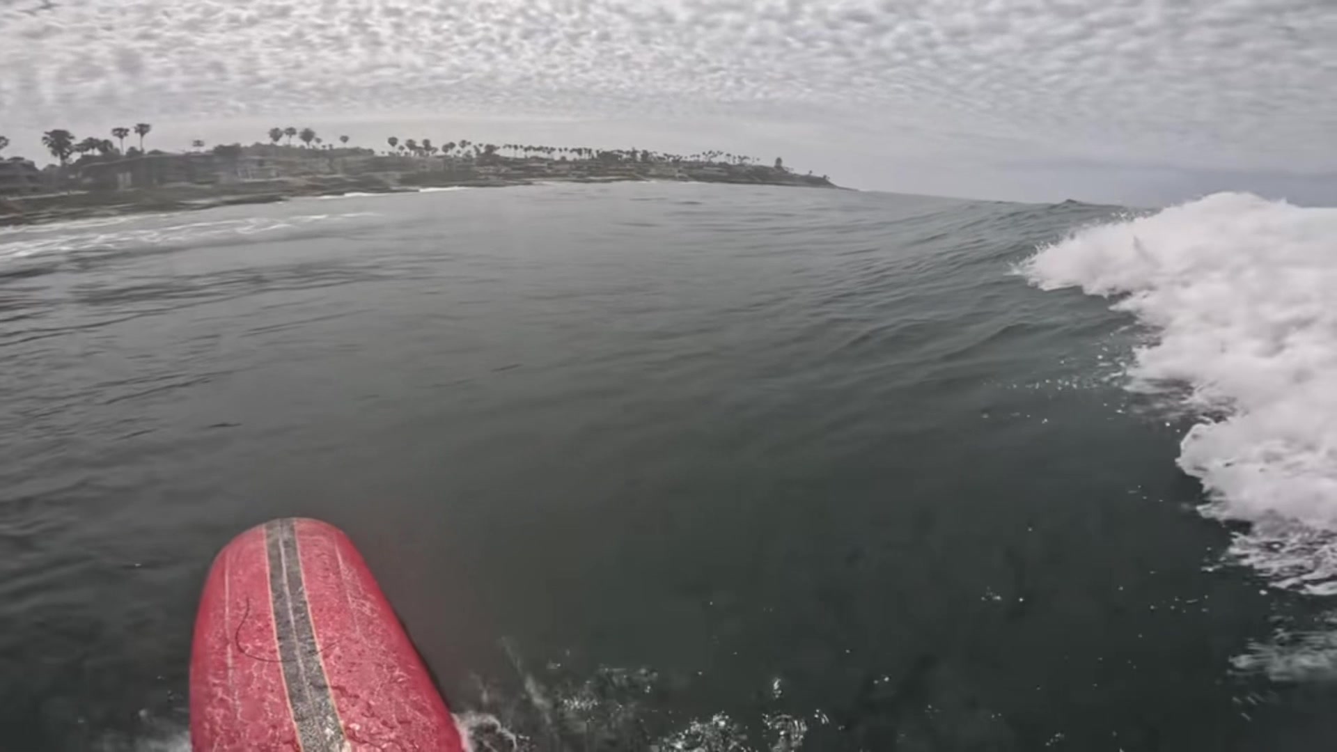 @tidalwavepov