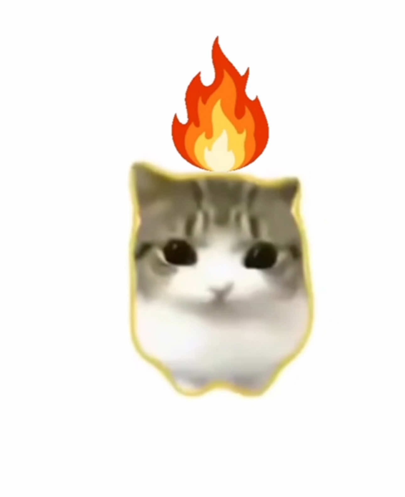 @ᴍɪɴᴏ