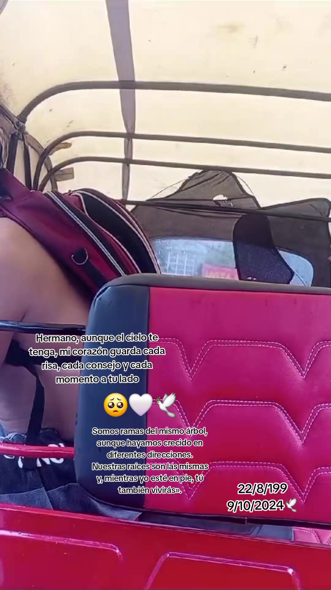 @pincheDaniela😈